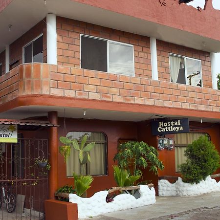 Hostal Cattleya Puerto Baquerizo Moreno Exteriör bild