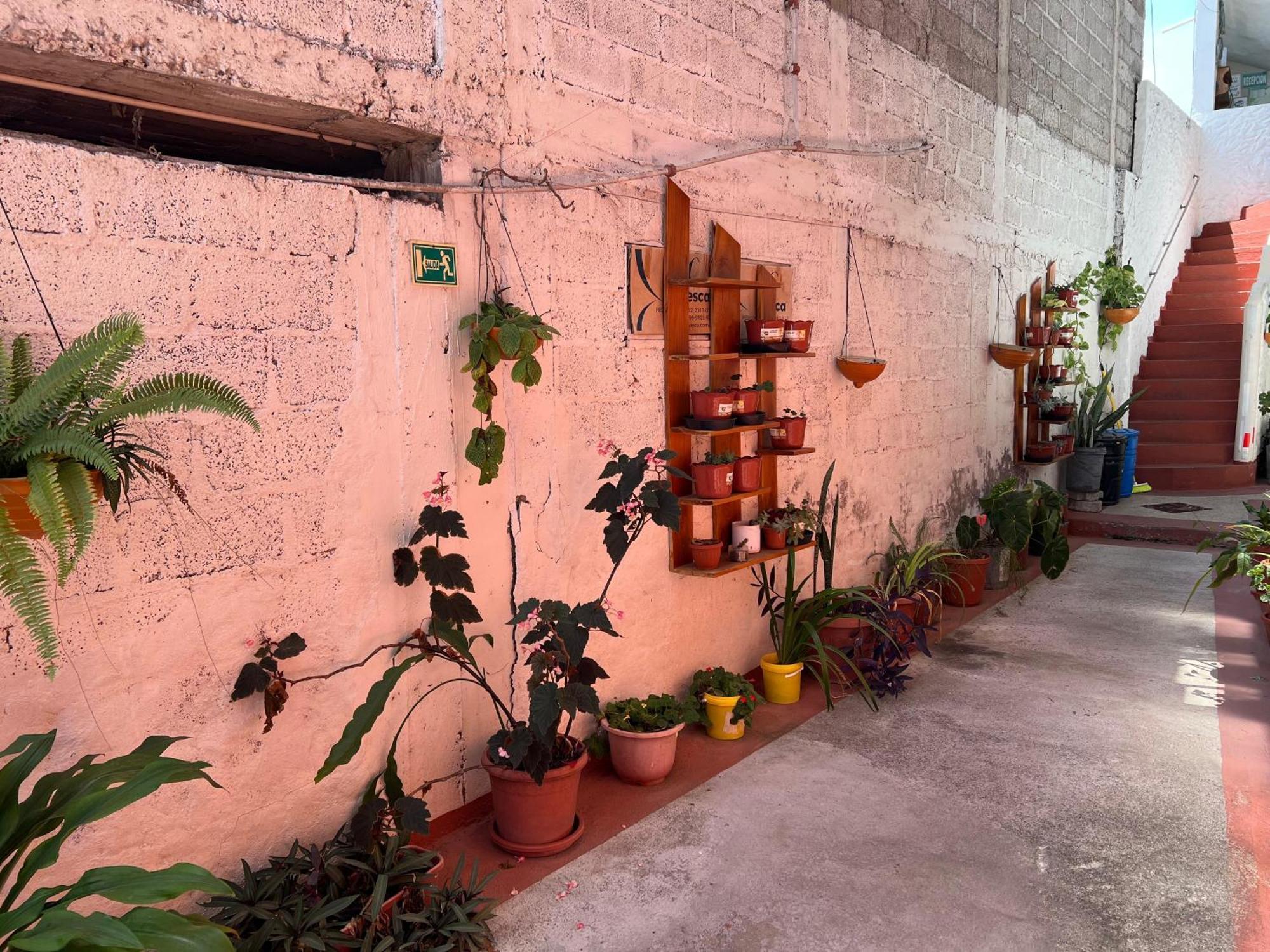 Hostal Cattleya Puerto Baquerizo Moreno Exteriör bild