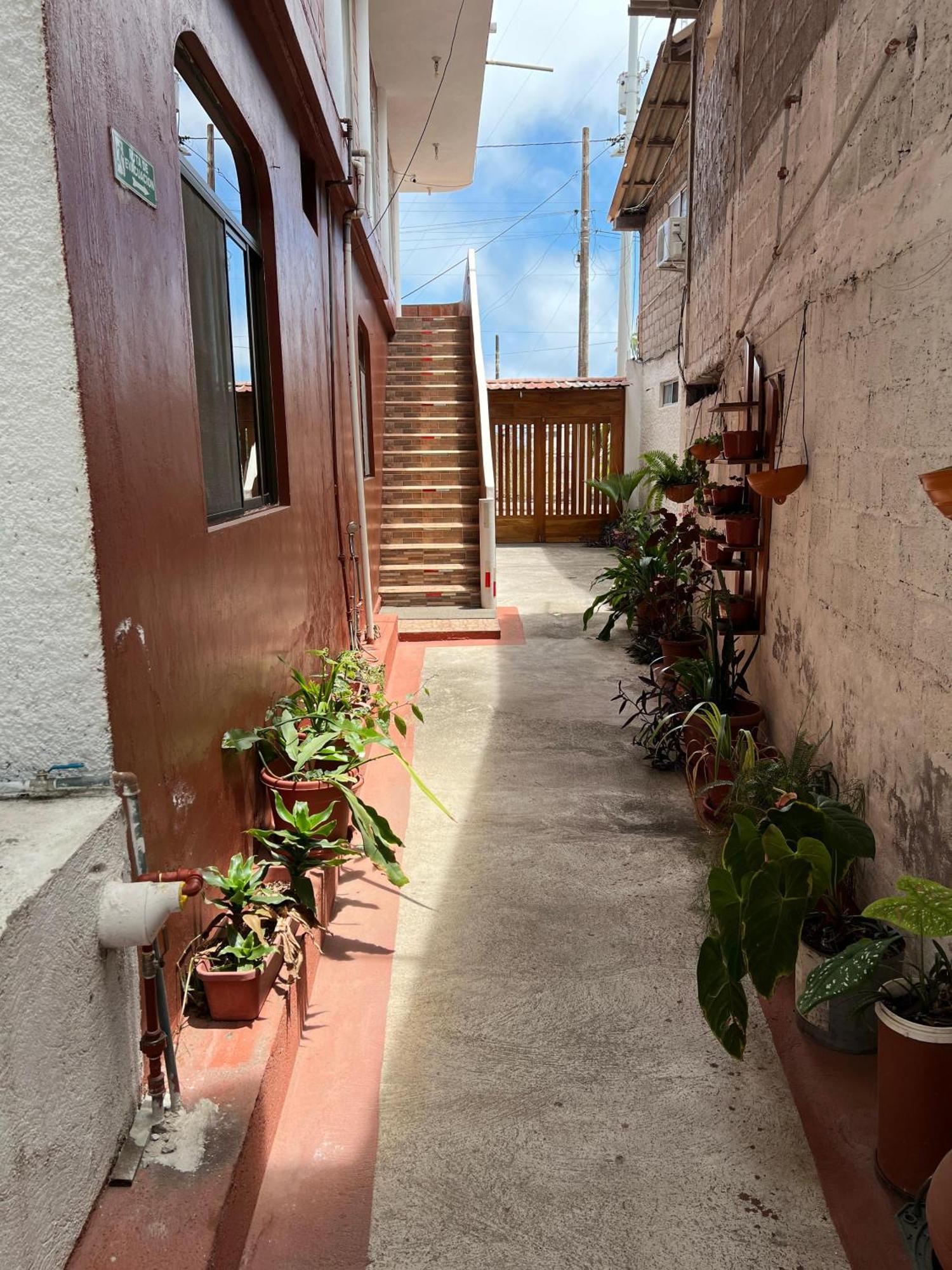 Hostal Cattleya Puerto Baquerizo Moreno Exteriör bild