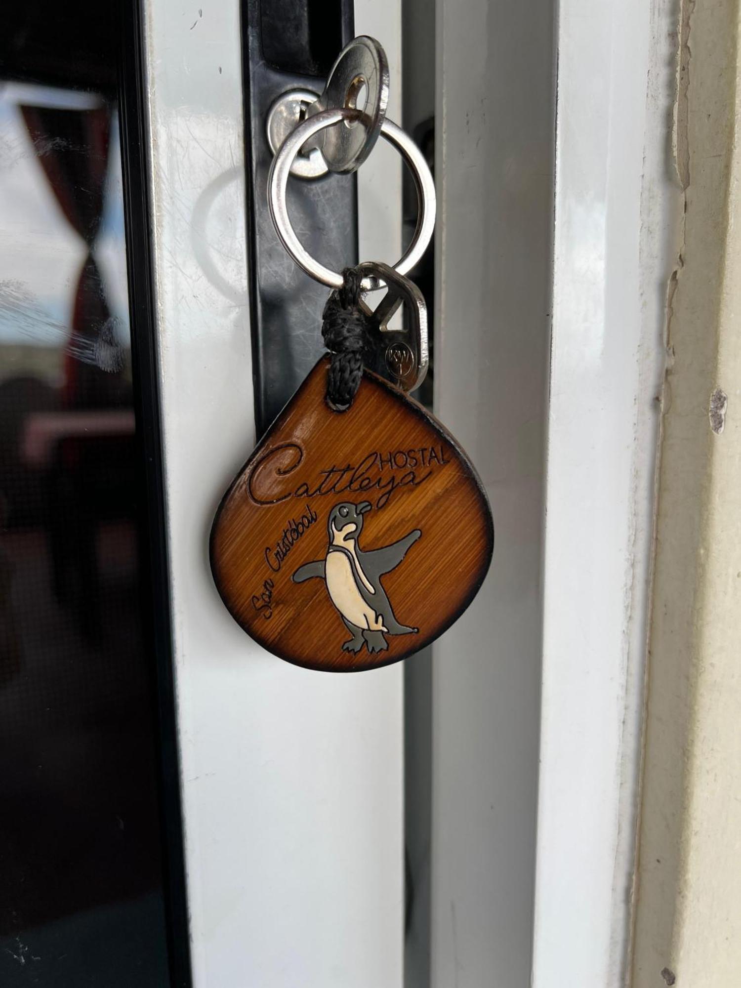 Hostal Cattleya Puerto Baquerizo Moreno Rum bild