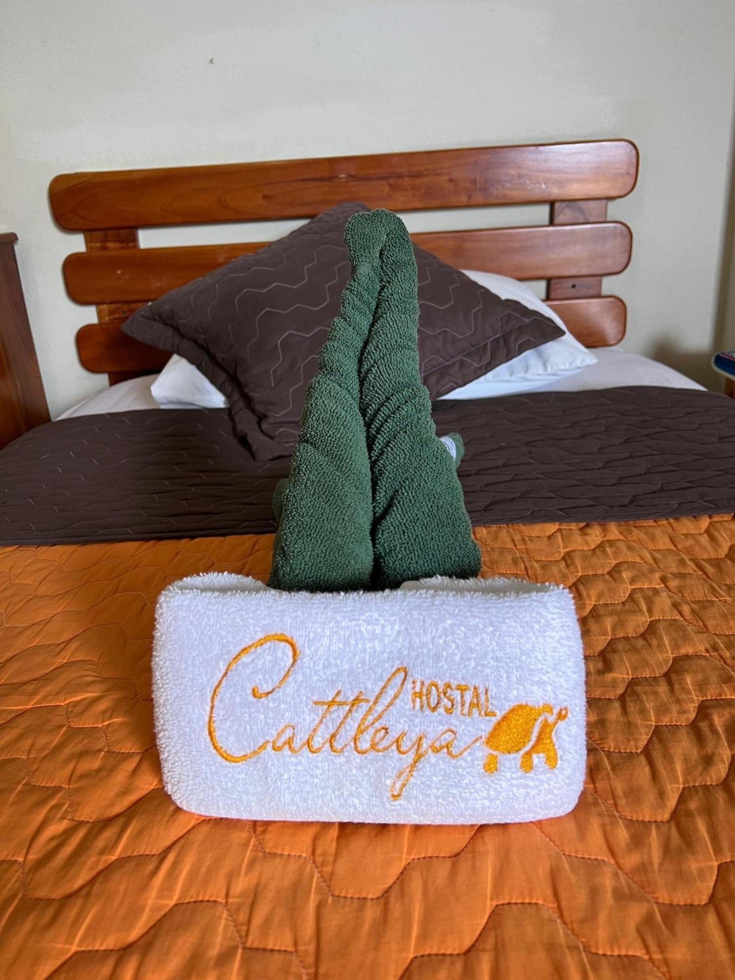 Hostal Cattleya Puerto Baquerizo Moreno Exteriör bild